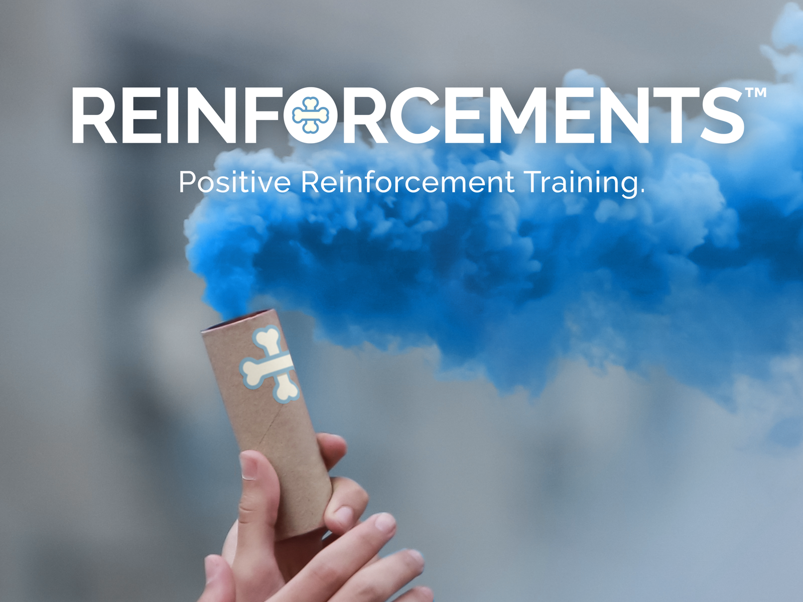 Reinforcements Dog Training Reinforcements Dog Training